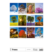 Nástenný kalendár Stromy 31,5 x 45 cm 2026