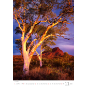 Nástenný kalendár Stromy 31,5 x 45 cm 2026