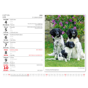 Stolový kalendár riadkový 17,1x13,9 cm - MiniMax Psíčkovia 2026