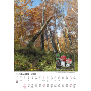 Nástenný kalendár 24 x 34 cm Krásy slovenskej prírody 2026