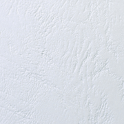 Kartónové obálky na krúžkovú väzbul GBC LeatherGrain A4 biele