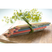 Farbičky STABILO GREENcolors 12ks `ARTY`