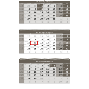 Nástenný kalendár trojmesačný sivý so špirálou 2024