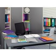 Plastový obal s gumičkou Leitz WOW purpurový