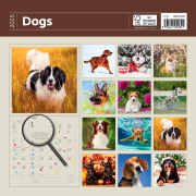 Nástenný kalendár Dogs 30 x 30 cm 2025