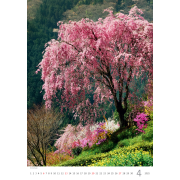 Nástenný kalendár Stromy 31,5 x 45 cm 2025