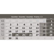 Nástenný kalendár trojmesačný sivý so špirálou 2025