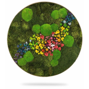 Machový obraz kruh RASTLINY Acebo, priemer 65cm, dubový rám