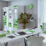 Zošívačka Leitz NeXXt WOW 5528 mini zelená