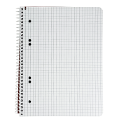 Blok College Format Werk Ursus Basic A5 80 listov štvorčekový 70g